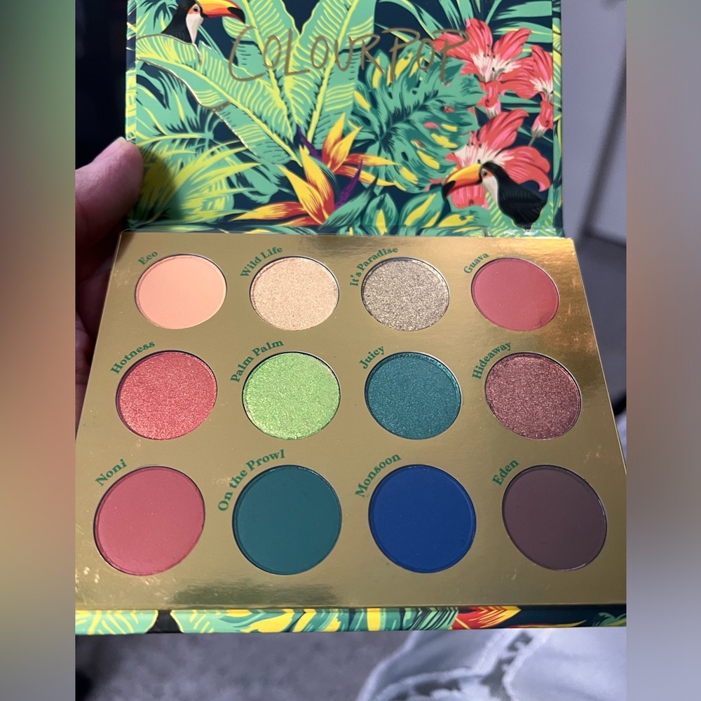 Colourpop lush life eyeshadow palette
